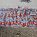 par Twigs - Oakland (CA)