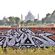 Chrome par Sedr, Sedr Ups - Agra (Inde)