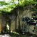 Street art par Goddog - Avignon (France)