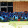Piece par Burma - Charlotte (NC)