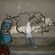 par Radz - Le Caire (Egypte)