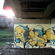 par Bond - Gottingen (Allemagne)