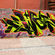 Fresques par Ewos - Istamboul (Turquie)
