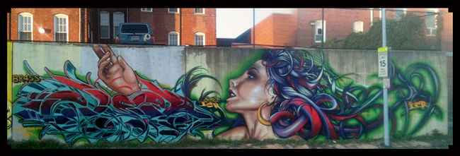 Fresques Par Else - Washington (DC)