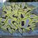 Piece par Fboom - New York City (NY)