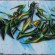 Piece par Amer1 - Bordeaux (France)