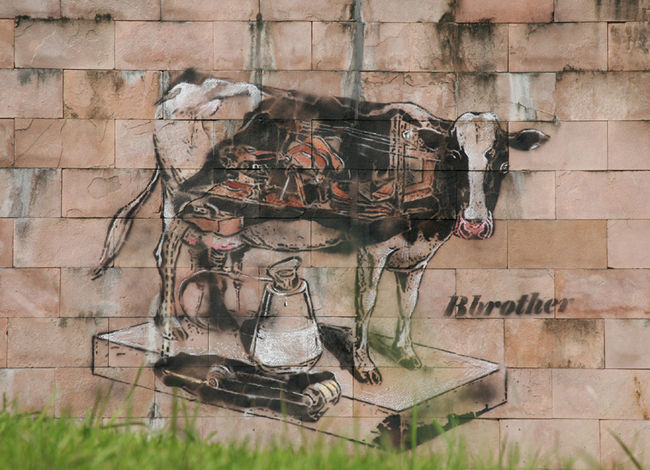 Street Art Par Bbrother - Taipei City (Taiwan)