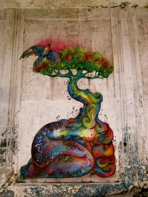 Street Art Par Calangos - Salvador (Bresil)