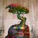 Street art par Calangos - Salvador (Bresil)