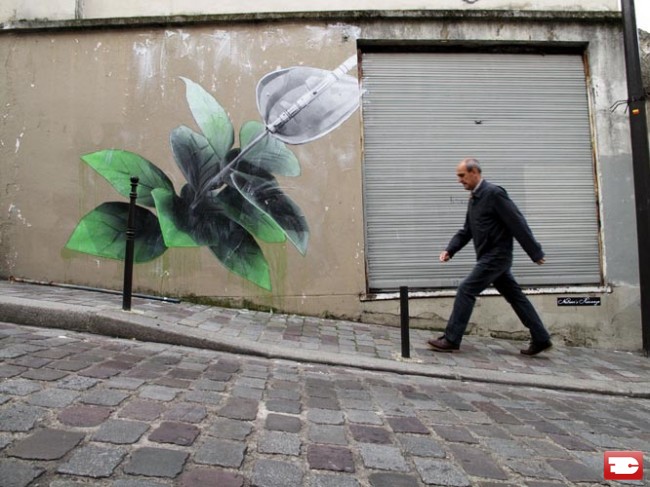 Street Art Par Ludo - Paris (France)