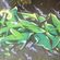 Fresques par Nside193, Muck - Yogyakarta (Indonesie)