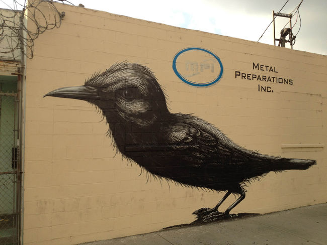 Fresques Par Roa - Los Angeles (CA)