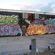 Fresques par Teez - Miami (FL)