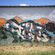 Piece par Tuco - Juncos (Porto Rico)
