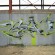  par Redone - Bretigny-sur-Orge (France)