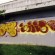  par Dalto - Bagnolet (France)