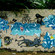 Fresques par Orek - Managua (Nicaragua)