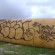 Throw ups par Blen 167 - Fajardo (Porto Rico)