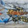 par Syde - Orsay (France)