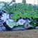 par Depoz - St.-Michel-sur-Orge (France)