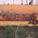 par Redone - Montpellier (France)