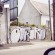 Chrome par Rato - Lyon (France)