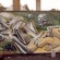 Fresques par Aien - Bruxelles (Belgique)