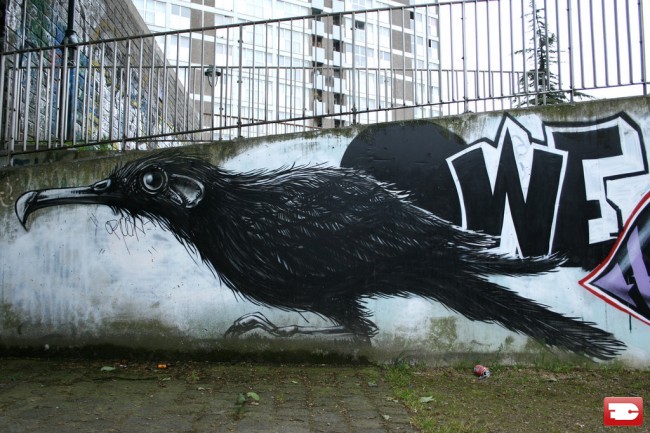 Street Art Par Roa - Bruxelles (Belgique)
