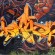 Piece par Dean - Dunkerque (France)