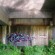 Piece par Amer1 - Angouleme (France)