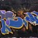 Fresques par Oneson - Kocaeli (Turquie)