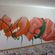 Piece par Toke - Ville de Mexico (Mexique)
