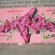 Piece par Dean - Arras (France)