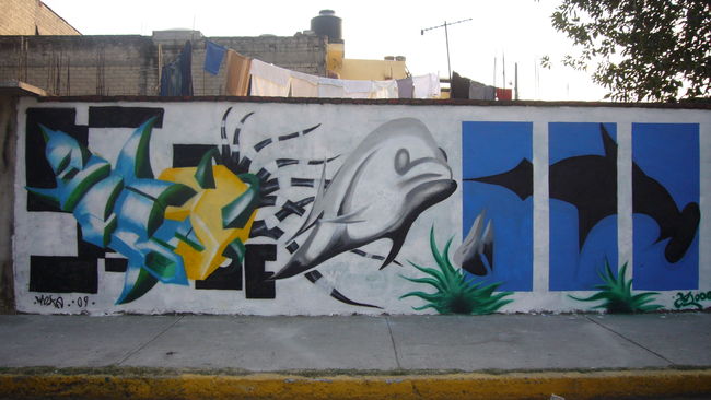 Street Art Par Toke - Ville De Mexico (Mexique)