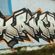 Piece par Hamar (ice) - Hanovre (Allemagne)