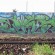Piece par Den - Saint-Etienne (France)