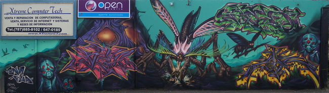 Fresques Par Blen 167, Zoner - Ceiba (Porto Rico)