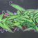 par Blen 167 - Ceiba (Porto Rico)