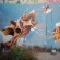 par Asty - Toulon (France)