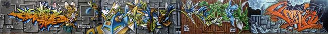 Fresques Par Dos, Skeum, Ryda, Deso, Sweo, Sonk - St.-Cyprien (France)