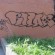 Throw ups par Relax - Bologne (France)