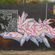  par Prisco - Manati (Porto Rico)