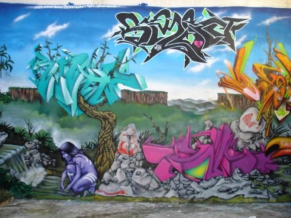 Fresques Par Prisco - Sao Paulo (Bresil)