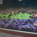  par Espy - Los Angeles (CA)