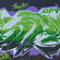  par Espy - Los Angeles (CA)