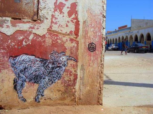 Street Art Par C215 - Tiznit (Maroc)