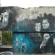 Street art par C215 - Varsovie (Pologne)