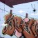 Fresques par Soap, Tizieu, Sayne - Rouen (France)