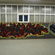 Piece par Bigem - Goteborg (Suede)