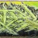 Piece par Natrl - San Francisco (CA)